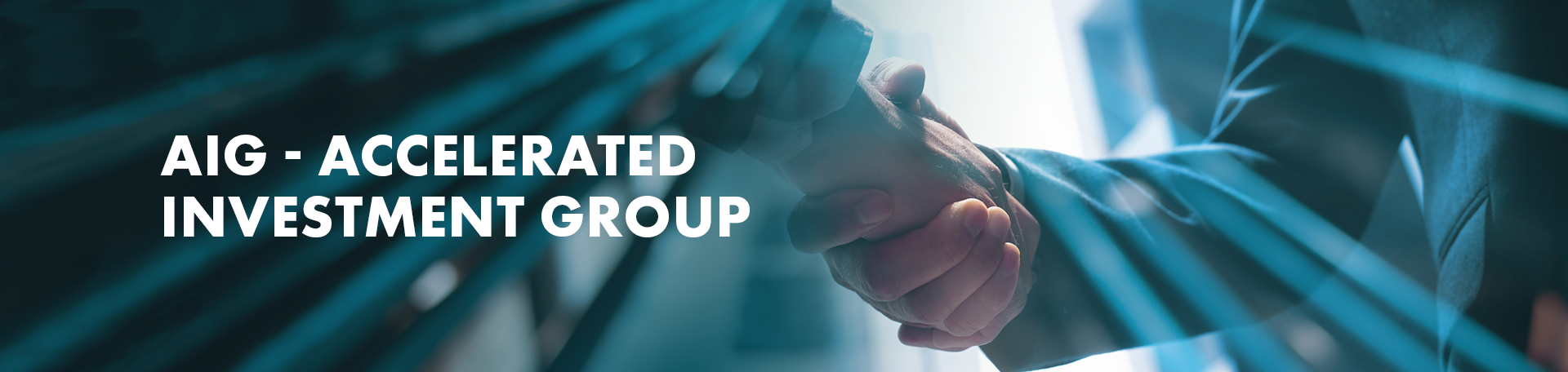 Company Partner Header - AIG Accelerated Investment Group Company Partner Header - AIG Accelerated Investment Group