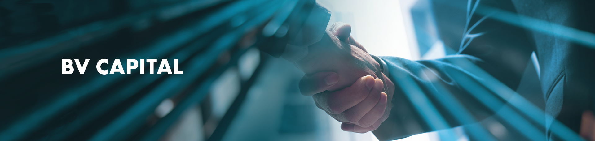Company Partner Header - BV Capital Company Partner Header - BV Capital