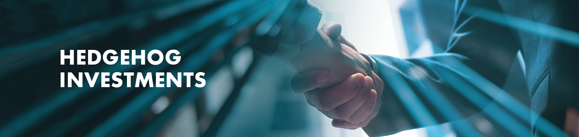 Company Partner Header - Hedgehog Investments Company Partner Header - Hedgehog Investments